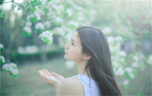 高埗镇验血查男女几周可以验(验血查男女结果图)